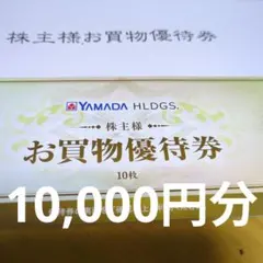 ヤマダ電機 お買物優待券 10枚 10,000円分