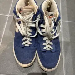 Nike ハイカットスニーカー ブルー