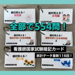 看護師国家試験 看護学生 単語帳 暗記カード