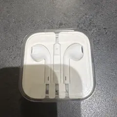 新品Apple イヤホン　ケース付き