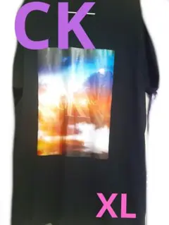 Calvin Klein カルバンクライン Tシャツ 黒