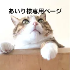 あいり様専用ページ