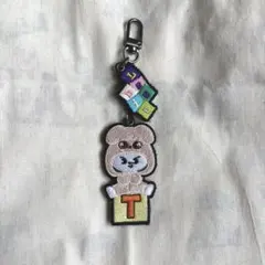 StrayKids SKZ TOY WORLD 刺繍キーホルダーリービット