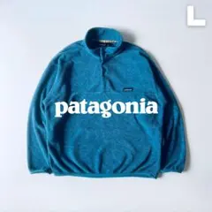 Patagonia 1994年 シンチラスナップT USA製 L 雪なし！
