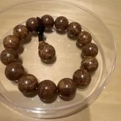 2025年最新】崖柏（ヤーバイ）の人気アイテム - メルカリ