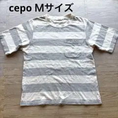 セポ　ボーダー半袖Tシャツ　レディース　Ｍサイズ