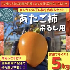 【2回目干すなら★人気の中玉】愛媛県産　高級干柿にも使われる渋柿　愛宕柿　5キロ