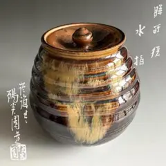 Item thumbnail for item 54903db4-7fb9-412b-bf44-856b623f4890