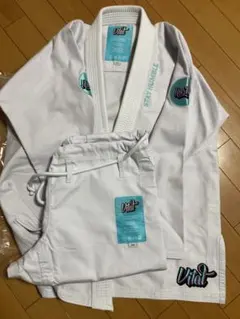 Item thumbnail for item 2c13d707-41a2-4f48-9394-d96043609734