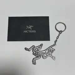 【希少・韓国限定】アークテリクス キーホルダー ARC'TERYX キーリング 希少・韓国限定】アークテリクス キーホルダー ARC'TERYX キーリング