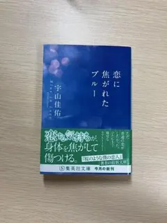 恋に焦がれたブルー 宇山佳佑 集英社文庫