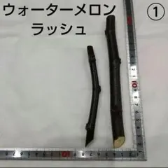 2026年最新】イチジク苗木ウォーターメロンラッシュの人気アイテム