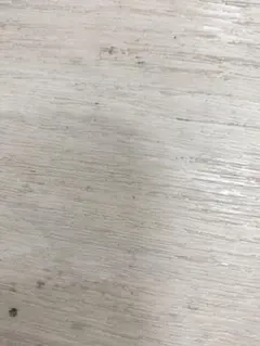 ヲタク様 リクエスト 2点 まとめ商品