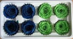 プリザーブドフラワー バラ　16個セット