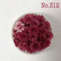 かすみ草　ボルドー　ドライフラワー　No.312