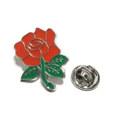 pin-2010　ラペルピン★ピンズ　薔薇　バラ　ローズ　花　フラワー　葉　植物