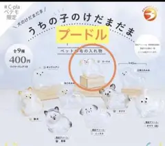 うちの子けだまだま　犬　ガチャ　プードル1点