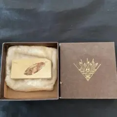 Item thumbnail for item 9d7cca84-2ac9-4897-ac38-f1ab8b3ada41