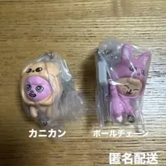 straykids skzoo つまつな クルモンズ