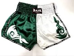 Item thumbnail for item e02ec908-06c9-46aa-a14d-214a170ea8f4