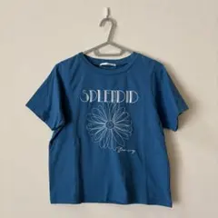 RETRO GIRL 半袖Tシャツ ショート丈 Fサイズのサムネイル