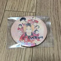 ハイキュー コレクション缶バッジ 第４弾 音駒高校 レア ホログラム