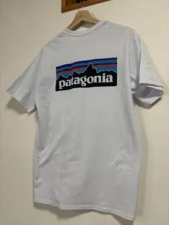 patagonia パタゴニア ポケット Tシャツ ホワイト 背面ロゴ