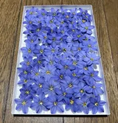 ドライフラワー ハンドメイド 花材 花材詰め合わせ 紫陽花 小花 35枚+α
