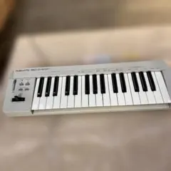 Item thumbnail for item 92bdc518-5596-4b6a-b9bc-38d7c4b724e7