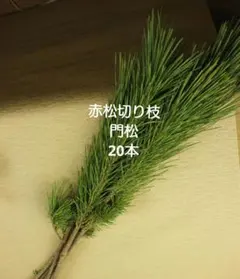 Item thumbnail for item 422dda4f-f295-4dec-bed3-a402cc9e6cee