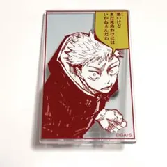 虎杖悠仁 呪術廻戦 アクリルバッジコレクション 原作