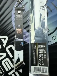 益田直也 250セーブ記念ボンフィン 千葉ロッテマリーンズ