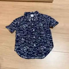 gap サメ柄半袖シャツ