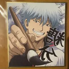 銀魂 坂田銀時 コレクタブル色紙