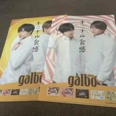 SexyZone 中島健人　菊池風磨　クリアファイル　ガルボ　セクゾ