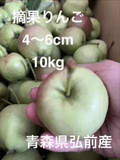 青森県弘前産 摘果りんご 10kg 4-6cmのサムネイル