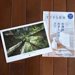 Item thumbnail for item c3a090f5-d80d-4bff-b7c2-7fbfdca1f5af