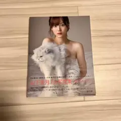 Item thumbnail for item 0420a5da-0390-4b91-9f3e-a2ee2d7184b8