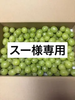 [スー様専用] 2kgのサムネイル