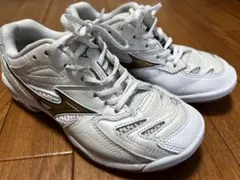 Item thumbnail for item fe247fb1-29e5-4a21-999c-78dca0f219d7