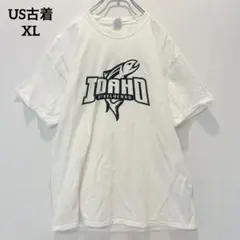 Item thumbnail for item 6f51951c-c1be-481c-a38d-a599ab2c391f