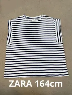 ZARA ストライプ Tシャツ13-14歳