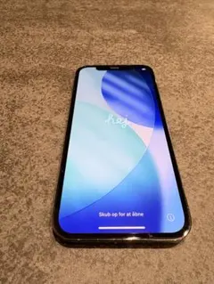 Apple iPhone 12 Pro 512GB 本体
