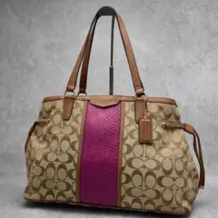 良品✨A4可 コーチ トートバッグ キャンバス×レザー パイソン柄 シグネチャー