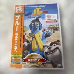 DVD新品 全米初登場No.1 ブルー きみは大丈夫 スティーヴ・カレル