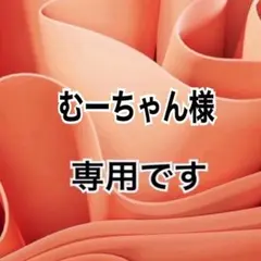 むーちゃん様 リクエスト 2点 まとめ商品