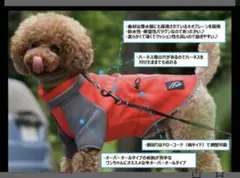 Item thumbnail for item 10559e9d-72fc-42f6-8b85-91d76a4cbc9b