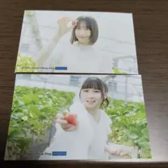 Item thumbnail for item 817c6c36-19b5-4355-932d-9d5e76519d4b