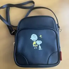 【美品】PEANUTS チャーリー・ブラウン スヌーピー バッグ