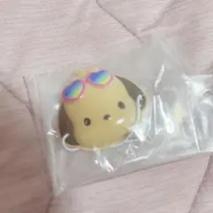 サンリオ　日焼けおめん　ポチャッコ